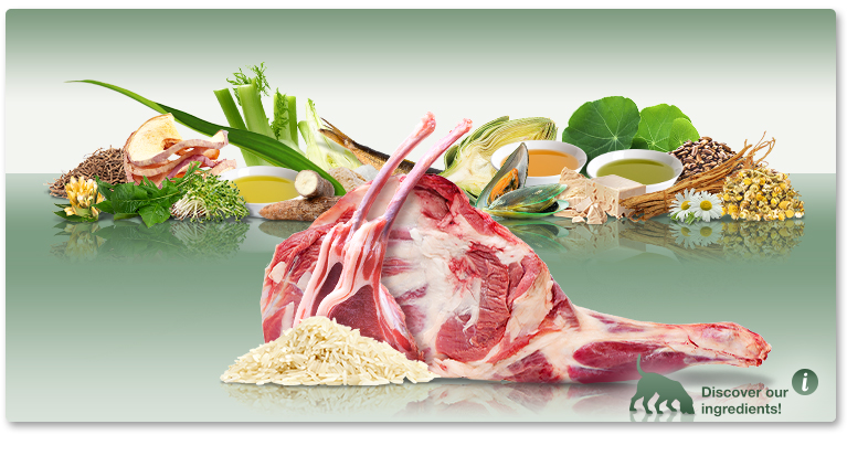 PLATINUM Adult Lamb + Rice – STAŁY RABAT W OPISIE PRODUKTU 5zł | 10zł | 15zł