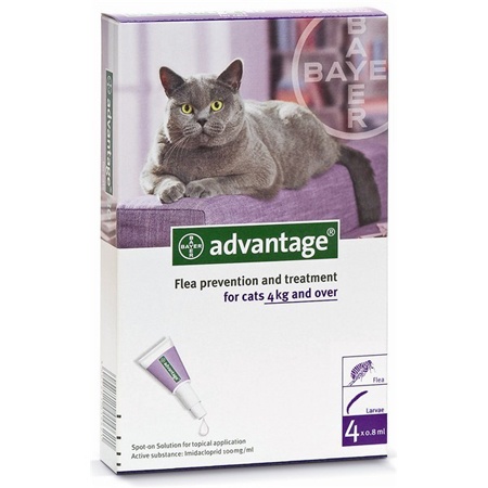 BAYER Advantage – krople dla kotów powyżej 4 kg 4 x 0,8ml