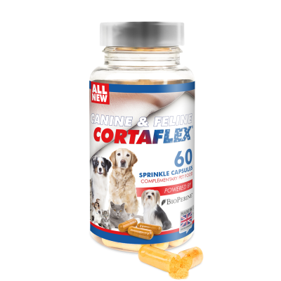 EQUINE AMERICA Canine&Feline Cortaflex – w kapsułkach