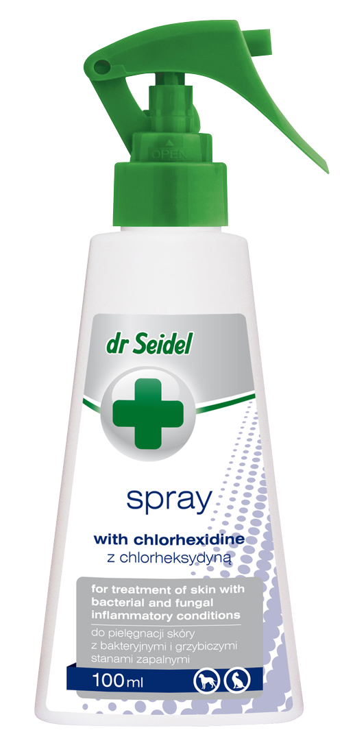 DR SEIDEL Spray z chlorheksydyną